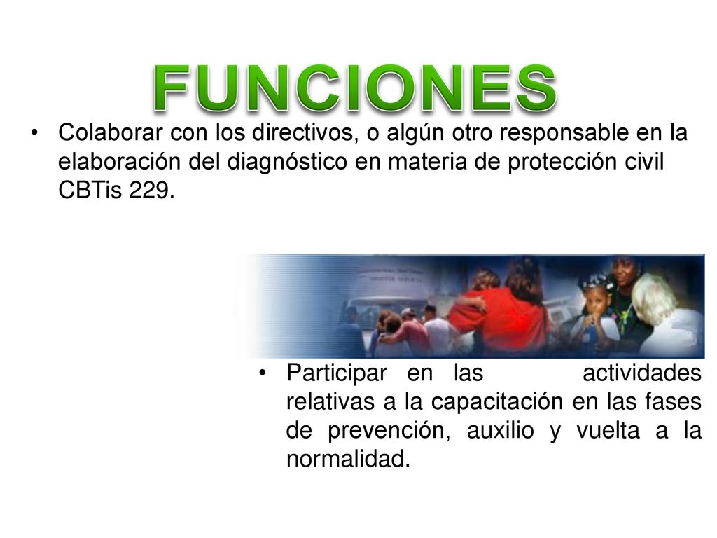 FUNCIONES Colaborar con los directivos, o algún otro responsable en la elaboración del diagnóstico en materia de protección civil CBTis 229.