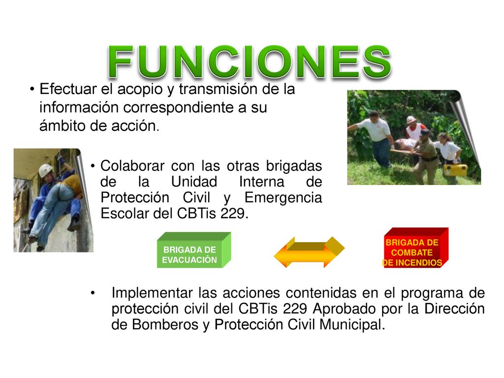 FUNCIONES Efectuar el acopio y transmisión de la información correspondiente a su ámbito de acción.