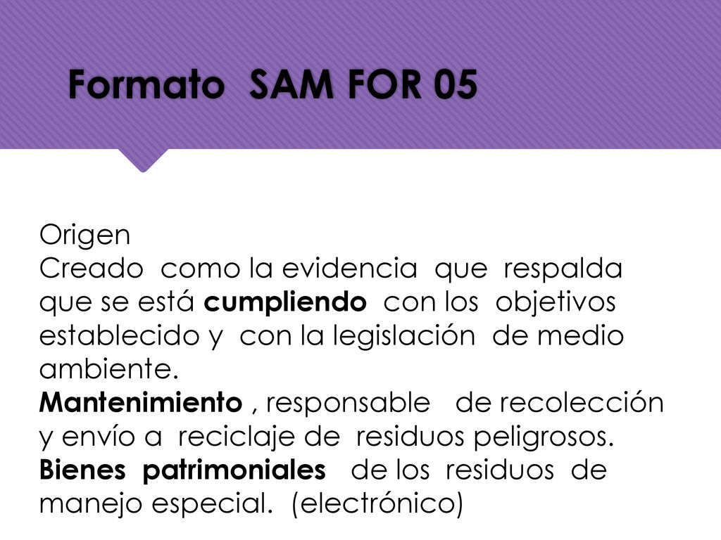Formato SAM FOR 05 pertenecen y las funciones de cada una. Origen