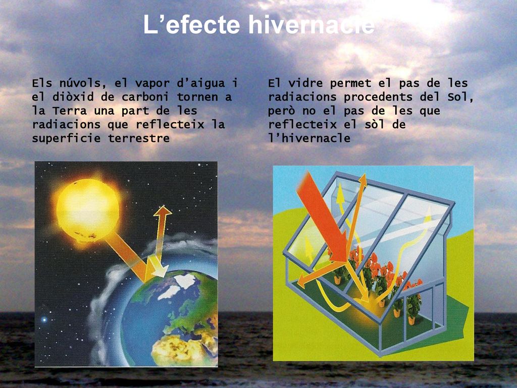 L’efecte hivernacle El vidre permet el pas de les radiacions procedents del Sol, però no el pas de les que reflecteix el sòl de l’hivernacle.