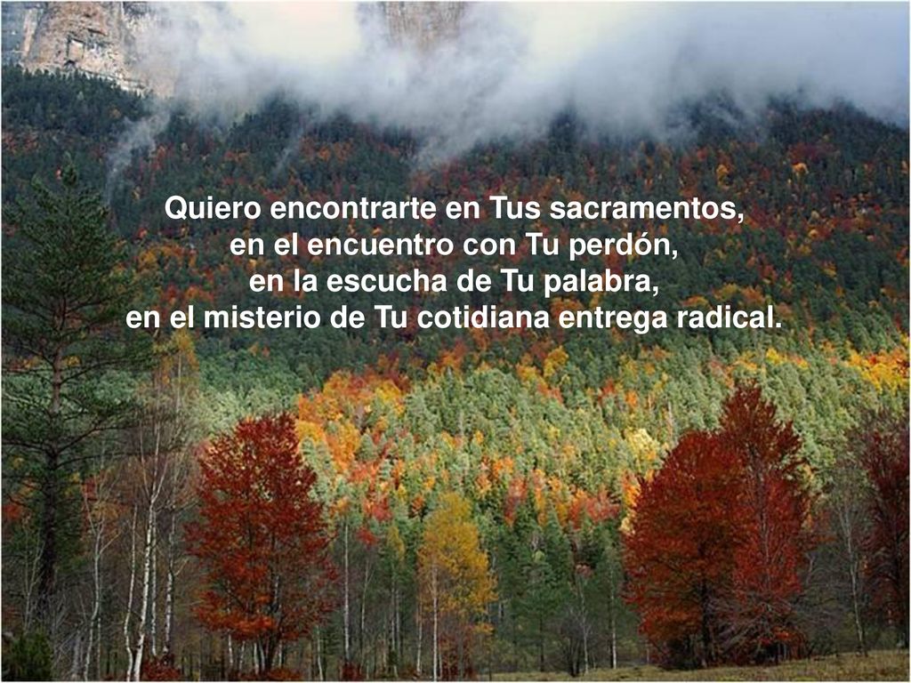 Quiero encontrarte en Tus sacramentos, en el encuentro con Tu perdón,