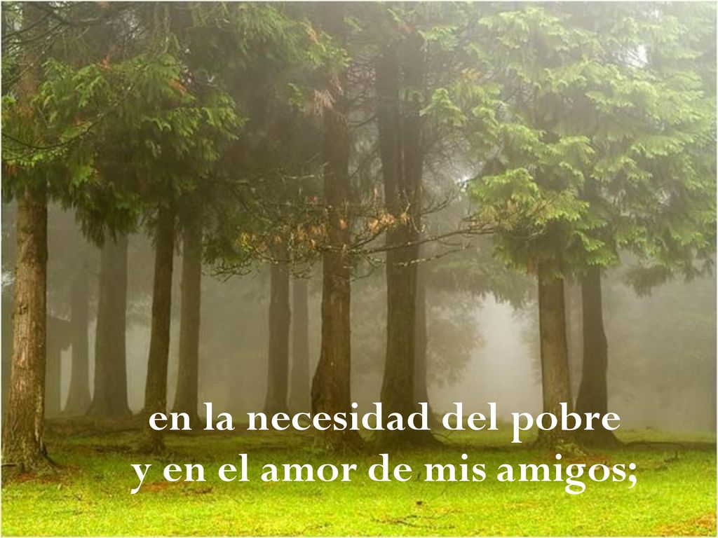 en la necesidad del pobre y en el amor de mis amigos;