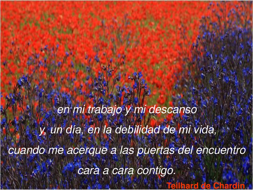 en mi trabajo y mi descanso y, un día, en la debilidad de mi vida,