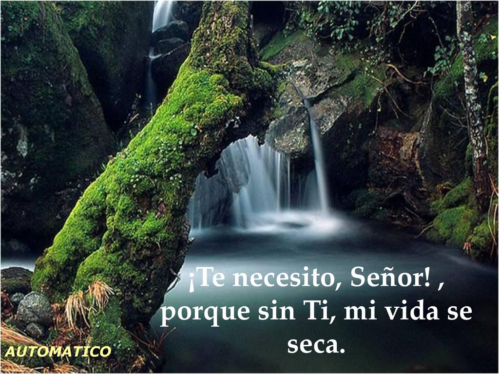 ¡Te necesito, Señor! , porque sin Ti, mi vida se seca.