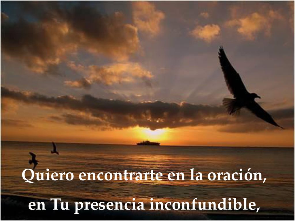 Quiero encontrarte en la oración, en Tu presencia inconfundible,