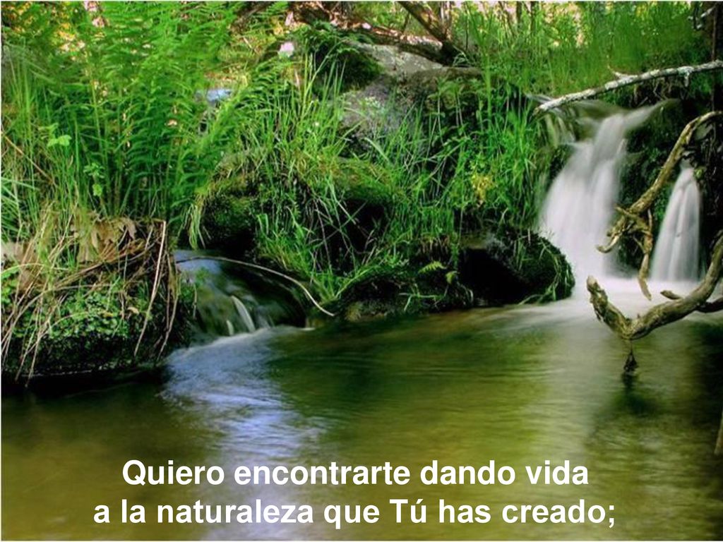 Quiero encontrarte dando vida a la naturaleza que Tú has creado;