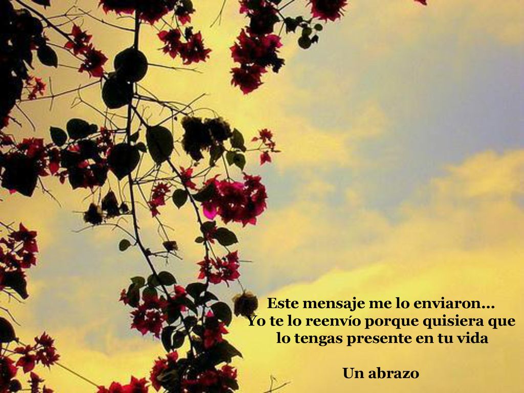 Este mensaje me lo enviaron… Yo te lo reenvío porque quisiera que
