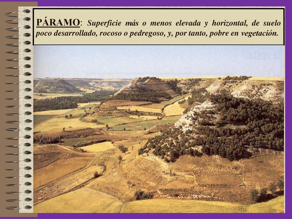 PÁRAMO: Superficie más o menos elevada y horizontal, de suelo poco desarrollado, rocoso o pedregoso, y, por tanto, pobre en vegetación.