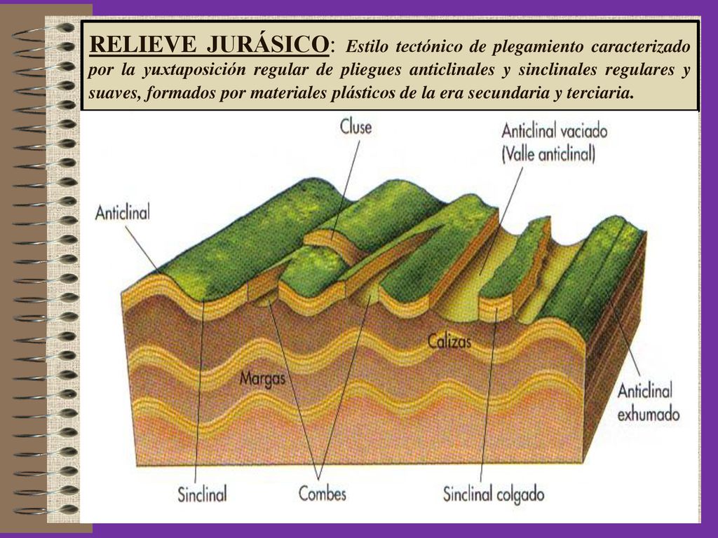 RELIEVE JURÁSICO: Estilo tectónico de plegamiento caracterizado por la yuxtaposición regular de pliegues anticlinales y sinclinales regulares y suaves, formados por materiales plásticos de la era secundaria y terciaria.