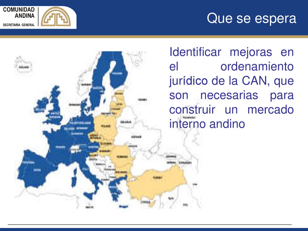 Que se espera Identificar mejoras en el ordenamiento jurídico de la CAN, que son necesarias para construir un mercado interno andino.