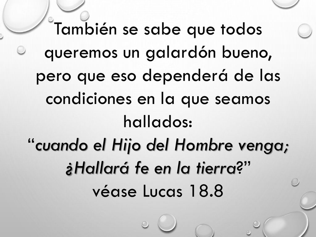 cuando el Hijo del Hombre venga; ¿Hallará fe en la tierra