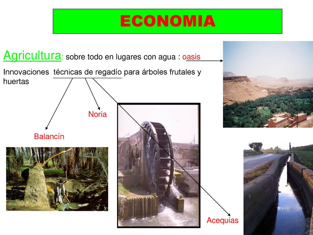 ECONOMIA Agricultura: sobre todo en lugares con agua : oasis