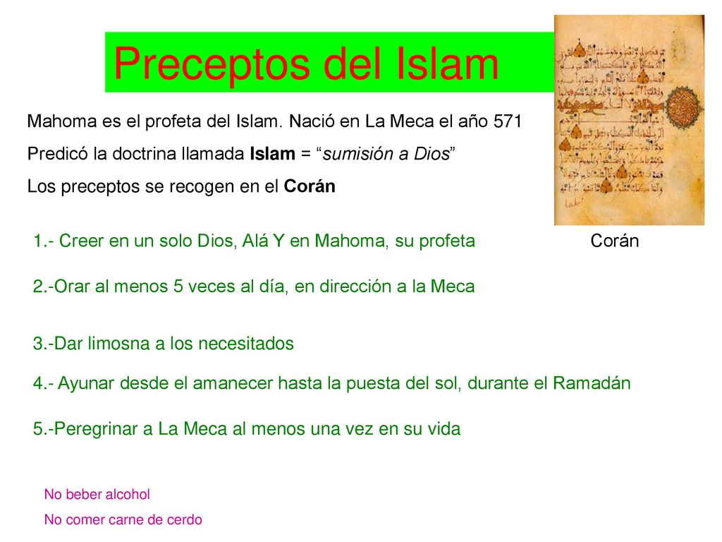 Preceptos del Islam Mahoma es el profeta del Islam. Nació en La Meca el año 571. Predicó la doctrina llamada Islam = sumisión a Dios