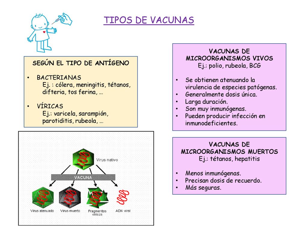 TIPOS DE VACUNAS VACUNAS DE MICROORGANISMOS VIVOS
