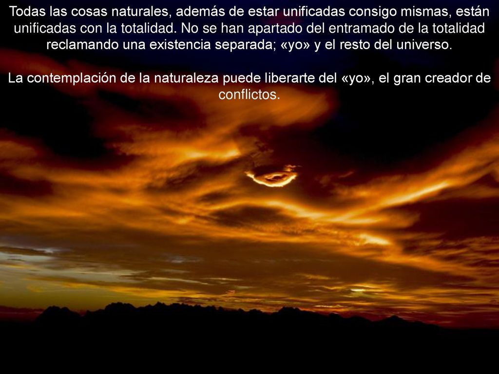 Todas las cosas naturales, además de estar unificadas consigo mismas, están unificadas con la totalidad. No se han apartado del entramado de la totalidad reclamando una existencia separada; «yo» y el resto del universo.