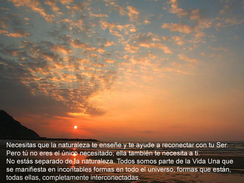 Necesitas que la naturaleza te enseñe y te ayude a reconectar con tu Ser. Pero tú no eres el único necesitado; ella también te necesita a ti.