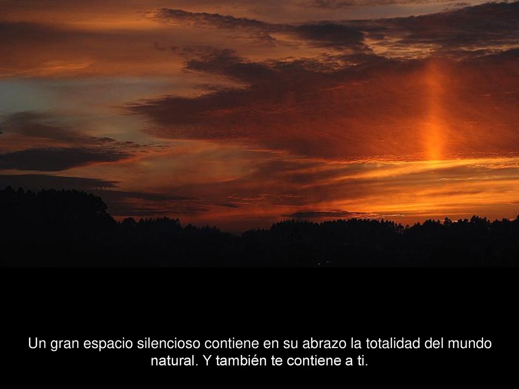 Un gran espacio silencioso contiene en su abrazo la totalidad del mundo natural.