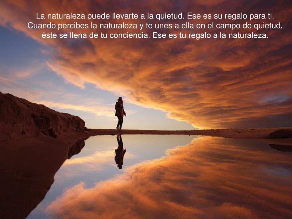 La naturaleza puede llevarte a la quietud. Ese es su regalo para ti