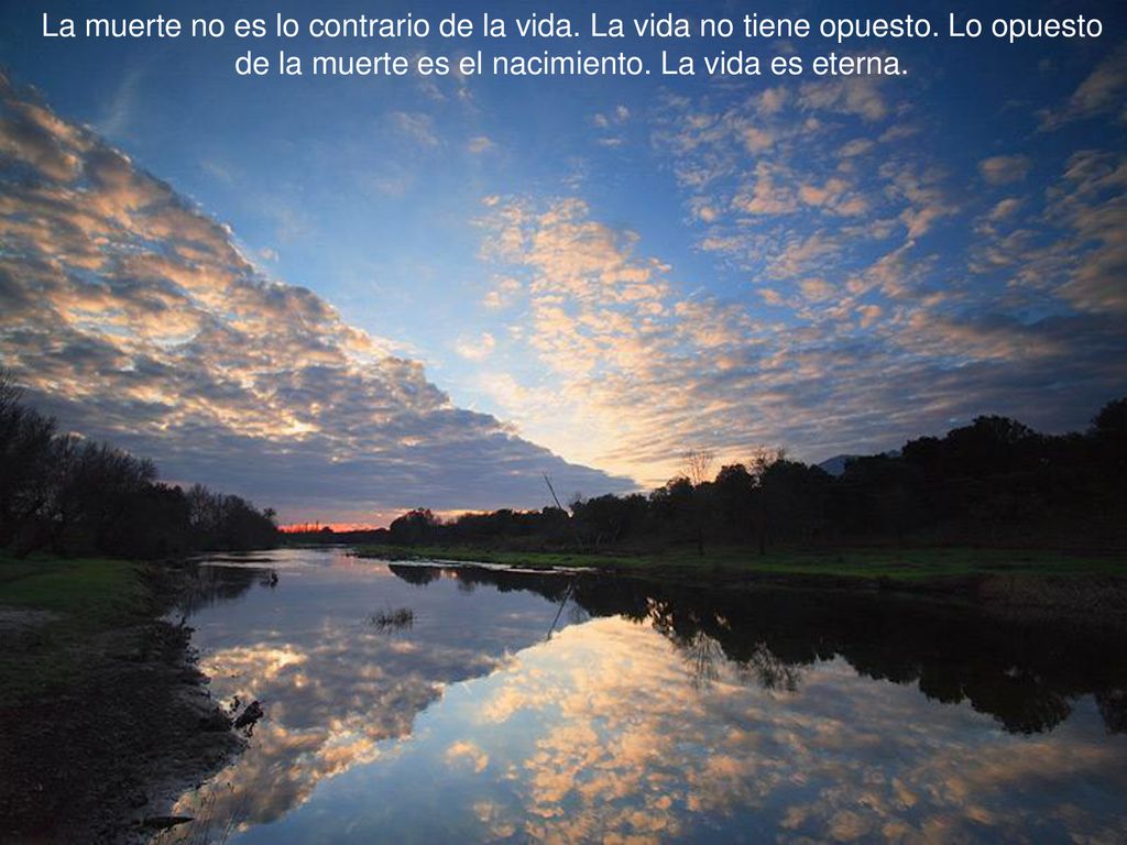La muerte no es lo contrario de la vida. La vida no tiene opuesto