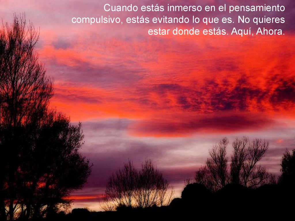Cuando estás inmerso en el pensamiento compulsivo, estás evitando lo que es.