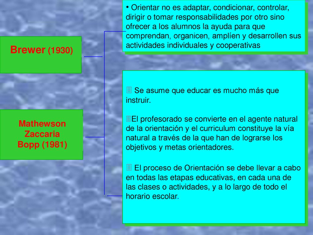 Orientar no es adaptar, condicionar, controlar, dirigir o tomar responsabilidades por otro sino ofrecer a los alumnos la ayuda para que comprendan, organicen, amplíen y desarrollen sus actividades individuales y cooperativas