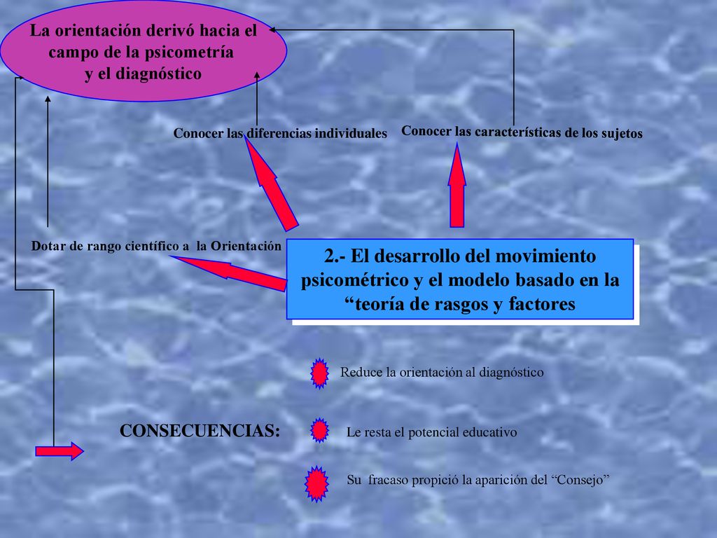 La orientación derivó hacia el campo de la psicometría