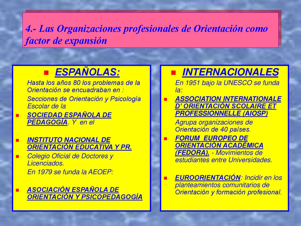 4.- Las Organizaciones profesionales de Orientación como factor de expansión