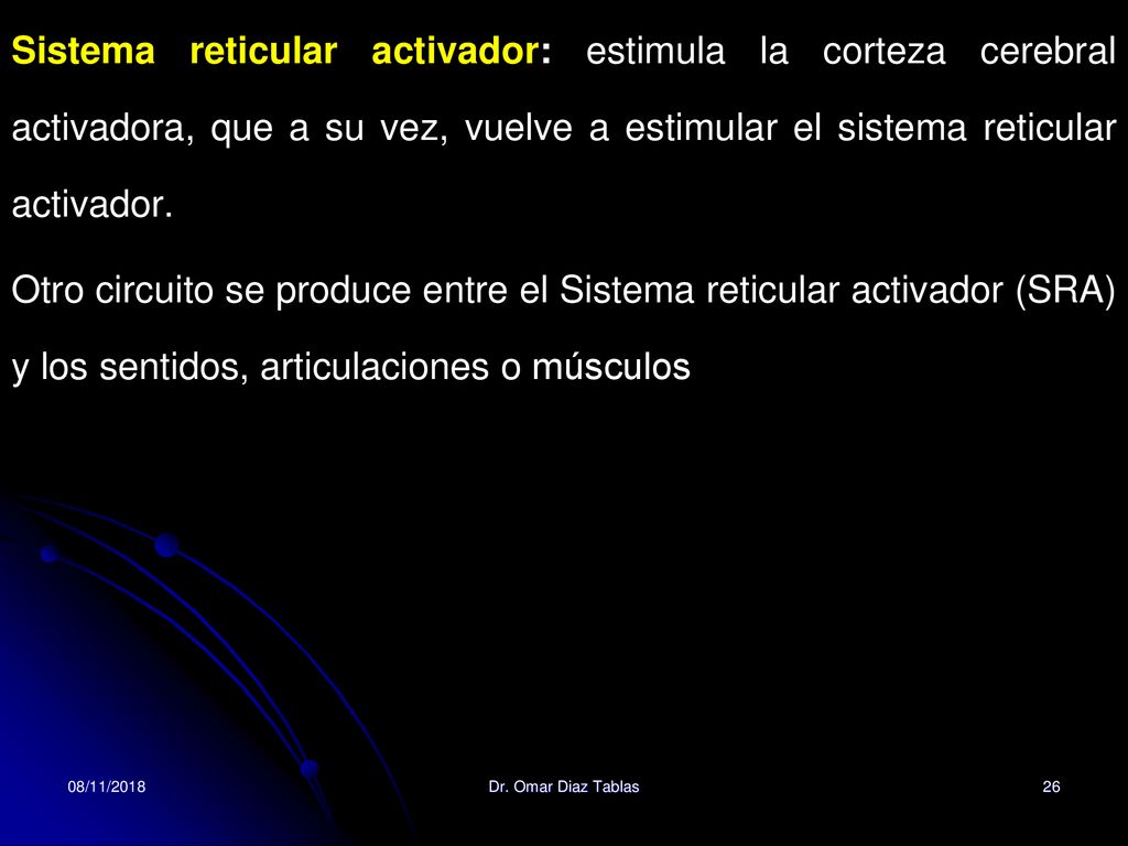 Sistema reticular activador: estimula la corteza cerebral activadora, que a su vez, vuelve a estimular el sistema reticular activador.