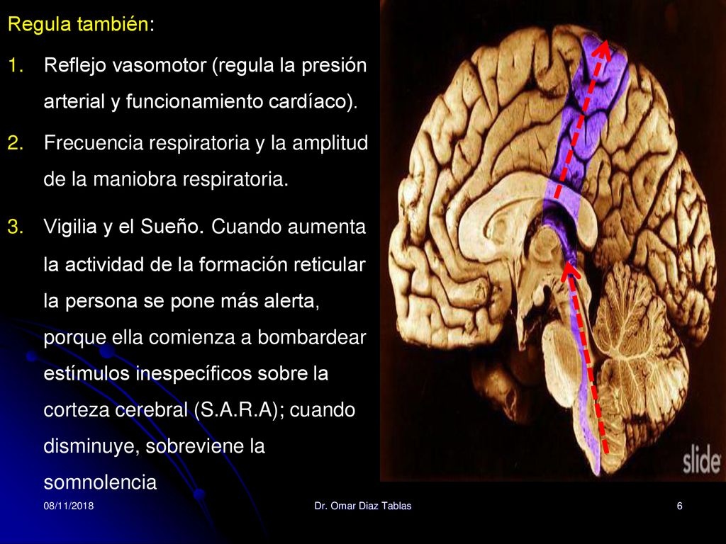 Frecuencia respiratoria y la amplitud de la maniobra respiratoria.