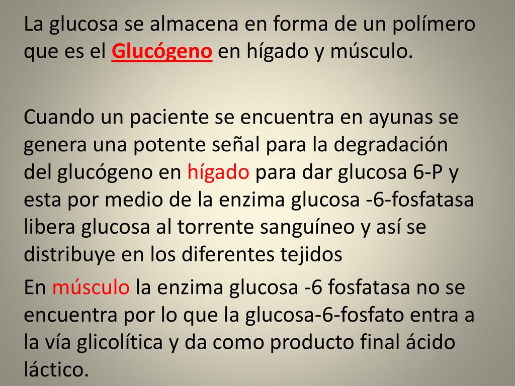 La glucosa se almacena en forma de un polímero que es el Glucógeno en hígado y músculo.