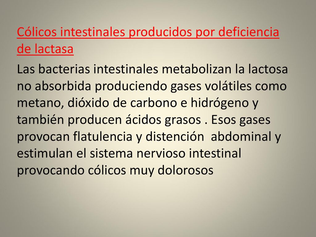 Cólicos intestinales producidos por deficiencia de lactasa Las bacterias intestinales metabolizan la lactosa no absorbida produciendo gases volátiles como metano, dióxido de carbono e hidrógeno y también producen ácidos grasos .