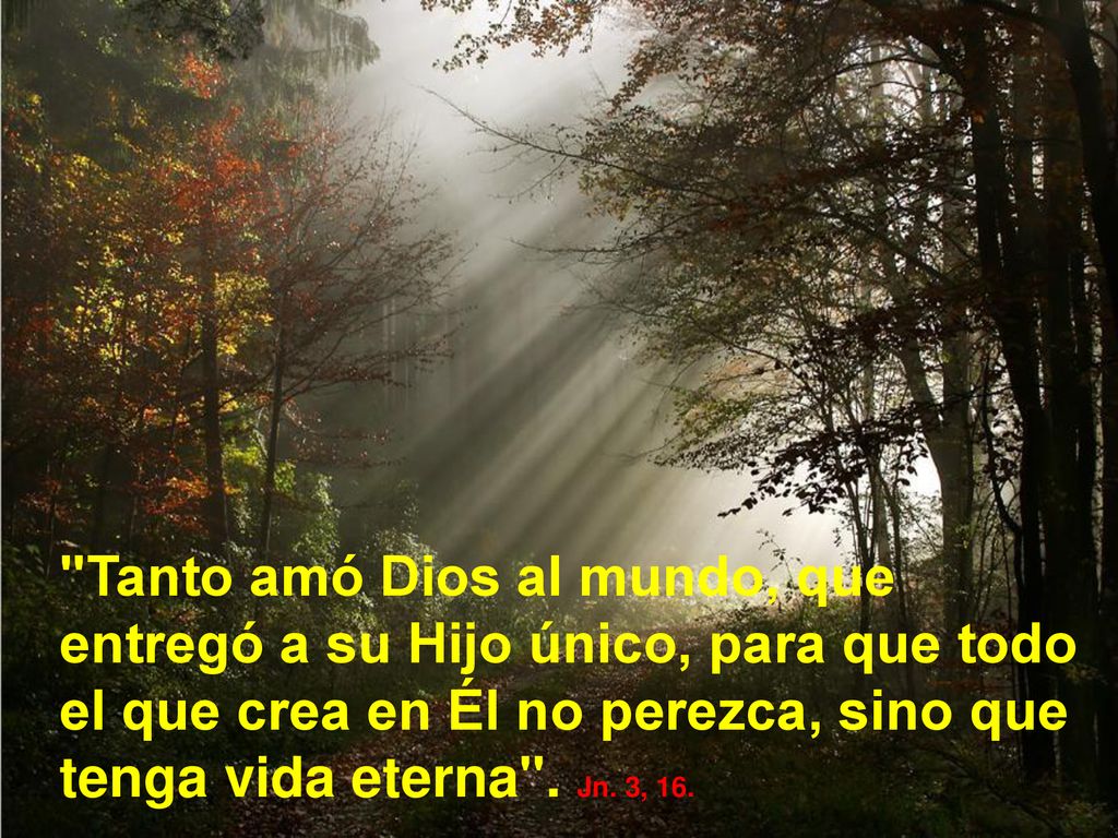 Tanto amó Dios al mundo, que entregó a su Hijo único, para que todo el que crea en Él no perezca, sino que tenga vida eterna .