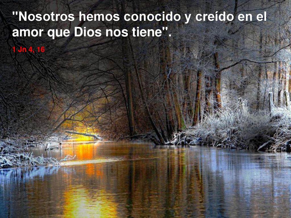 Nosotros hemos conocido y creído en el amor que Dios nos tiene .