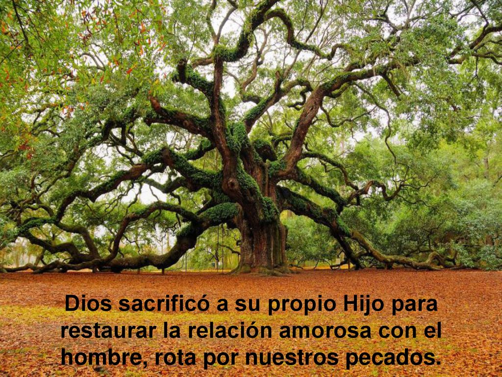 Dios sacrificó a su propio Hijo para restaurar la relación amorosa con el hombre, rota por nuestros pecados.