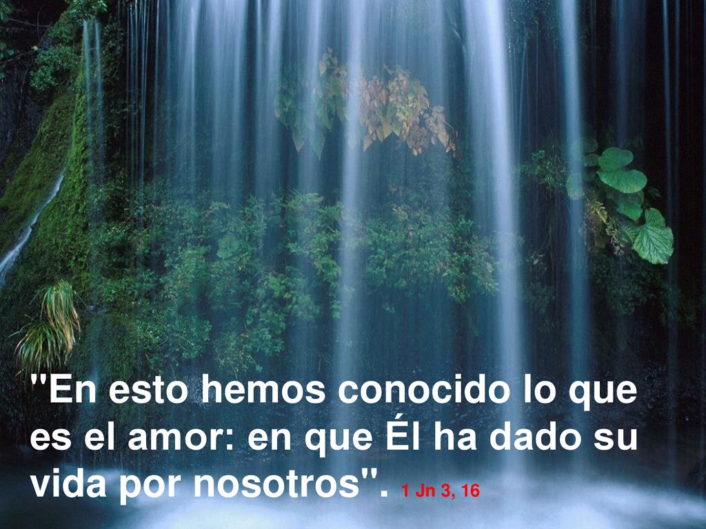 En esto hemos conocido lo que es el amor: en que Él ha dado su vida por nosotros . 1 Jn 3, 16
