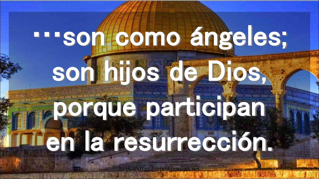 …son como ángeles; son hijos de Dios, porque participan en la resurrección.