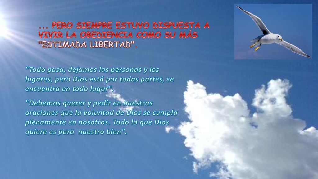 ... pero siempre estuvo dispuesta a vivir la obediencia como su más estimada libertad .