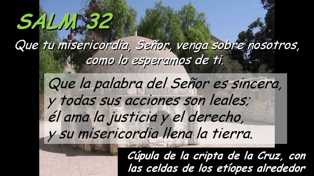 Que tu misericordia, Señor, venga sobre nosotros,