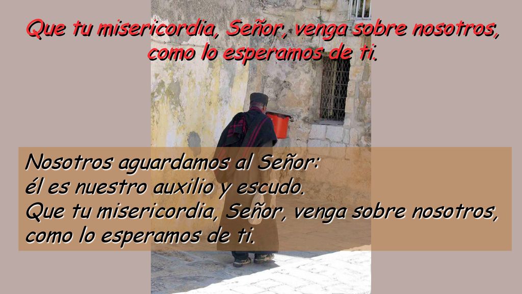 Que tu misericordia, Señor, venga sobre nosotros,