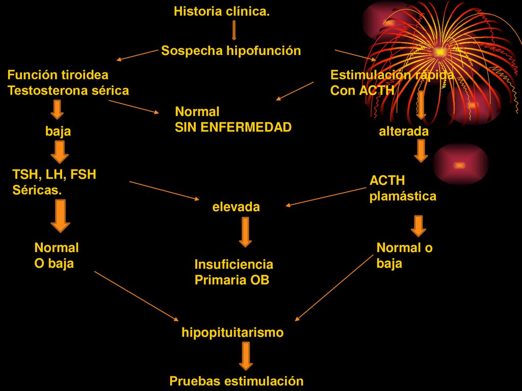 Historia clínica. Sospecha hipofunción. Función tiroidea. Testosterona sérica. Estimulación rápida.