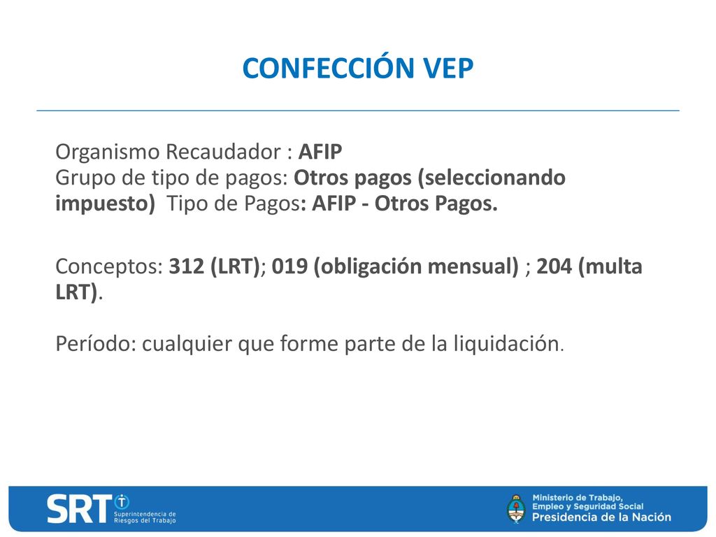 CONFECCIÓN VEP Organismo Recaudador : AFIP Grupo de tipo de pagos: Otros pagos (seleccionando impuesto) Tipo de Pagos: AFIP - Otros Pagos.