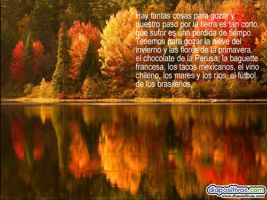 Hay tantas cosas para gozar y nuestro paso por la tierra es tan corto, que sufrir es una pérdida de tiempo.