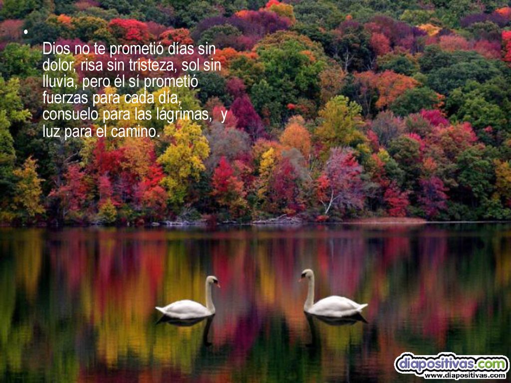 Dios no te prometió días sin dolor, risa sin tristeza, sol sin lluvia, pero él sí prometió fuerzas para cada día, consuelo para las lágrimas, y luz para el camino.