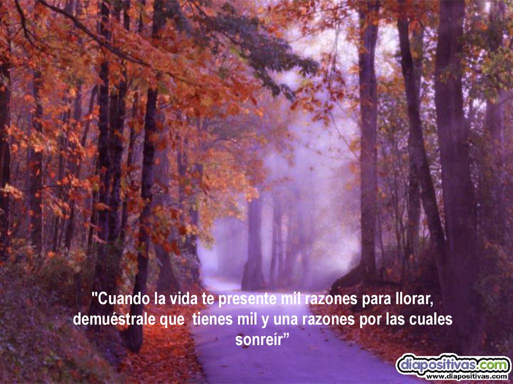 Cuando la vida te presente mil razones para llorar, demuéstrale que tienes mil y una razones por las cuales sonreír