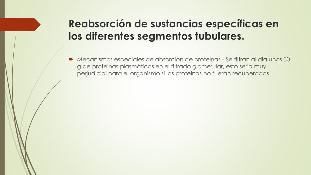 Reabsorción de sustancias específicas en los diferentes segmentos tubulares.