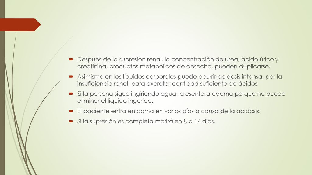 Después de la supresión renal, la concentración de urea, ácido úrico y creatinina, productos metabólicos de desecho, pueden duplicarse.