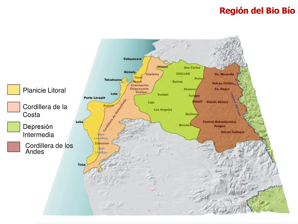 Región del Bio Bío Planicie Litoral Cordillera de la Costa