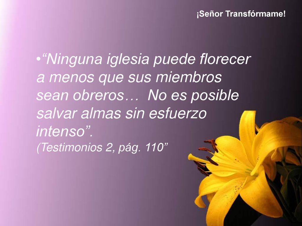 ¡Señor Transfórmame! • Ninguna iglesia puede florecer a menos que sus miembros sean obreros… No es posible salvar almas sin esfuerzo intenso .