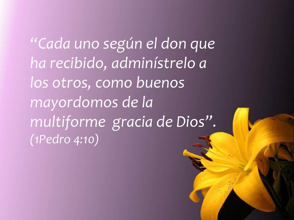 Cada uno según el don que ha recibido, adminístrelo a los otros, como buenos mayordomos de la multiforme gracia de Dios .