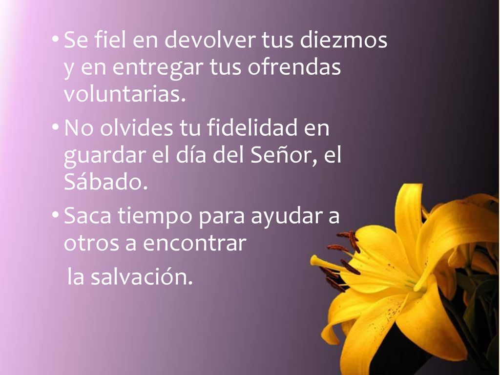Se fiel en devolver tus diezmos y en entregar tus ofrendas voluntarias.